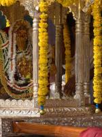 165th Shri Chitrapur Rathotsava 2026 - Day 7-8 (3, 4 April 2026) Pictures courtesy of Shri Abhinav Kalla